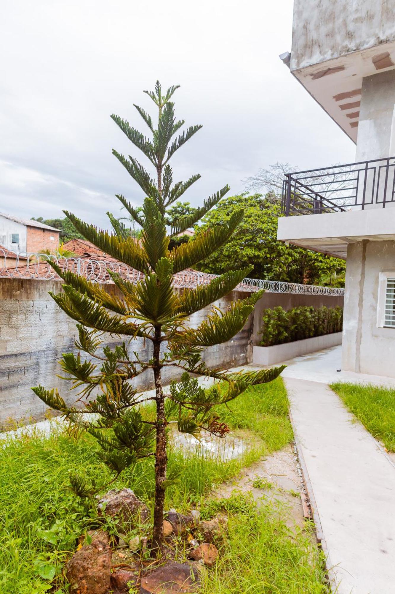 Loft Braganca Apart-Hotel Bragança Exterior foto